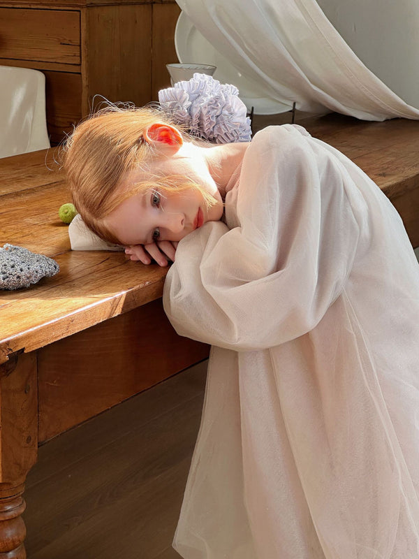 Girls Long-Sleeved Dress | Mesh Tutu Princess Outfit