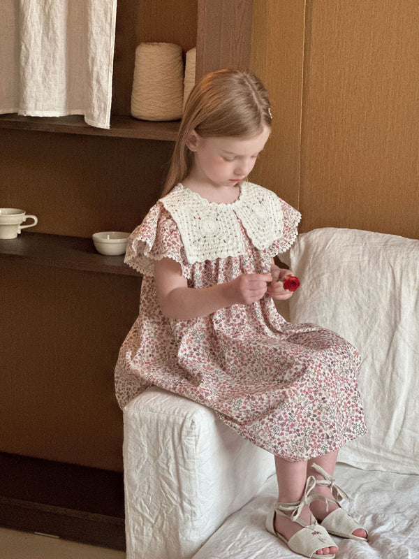 Girls Floral Dress | Lace Princess Outfit with Ruffle Sleeves
