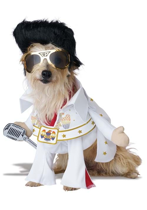Elvis Viva Vegas Costume for Pets