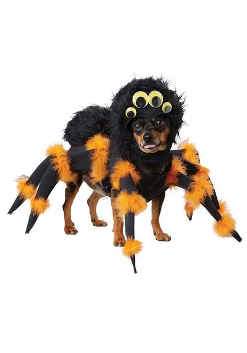Spider Pup And Cat Costume