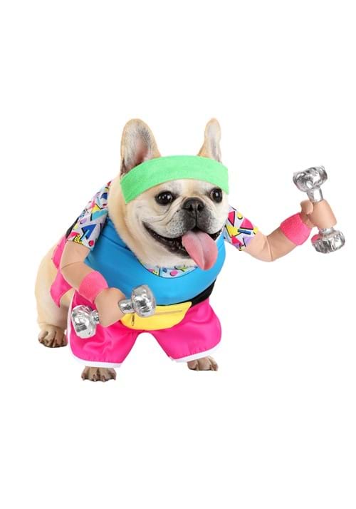 Work Out 1980s Costume for Pets